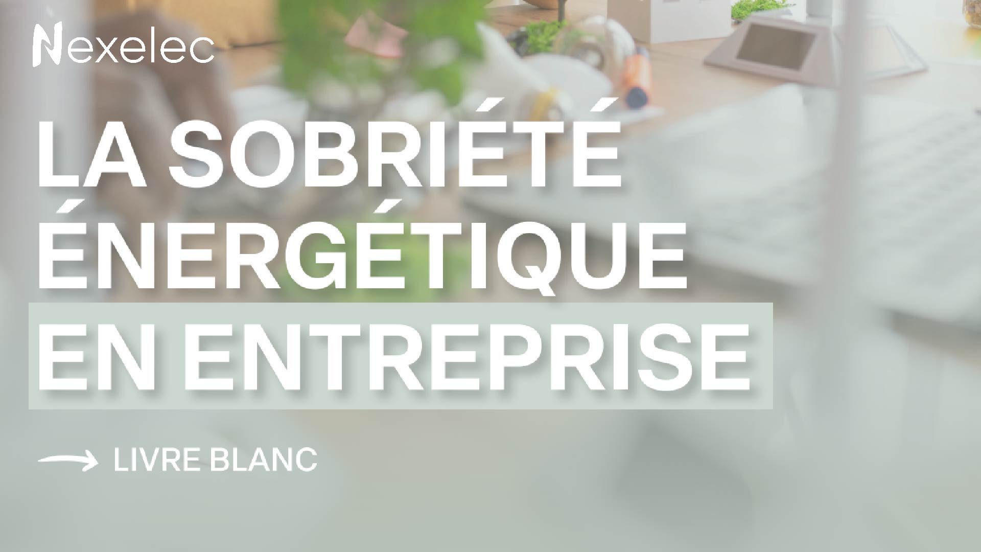 La sobriété énergétique en entreprise