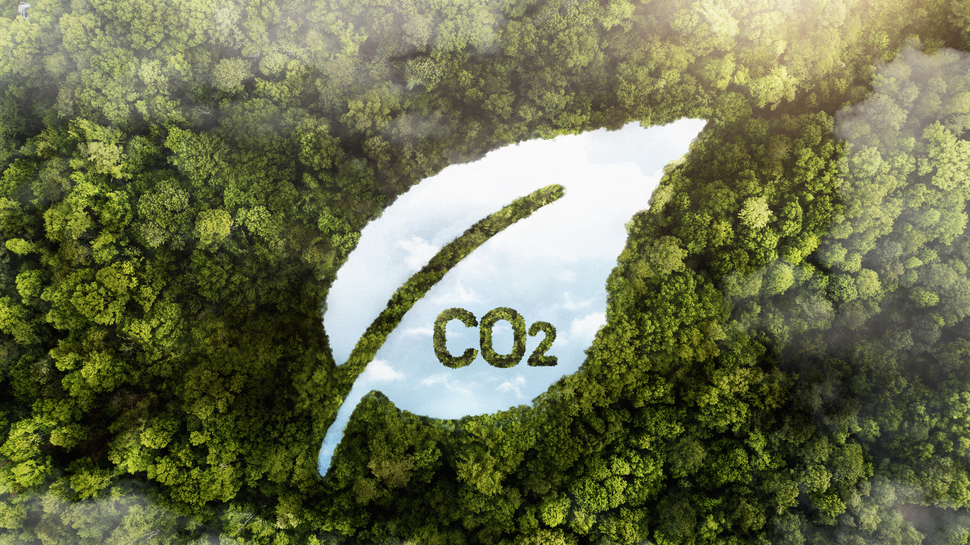 La réglementation sur le Dioxyde de Carbone (CO2)